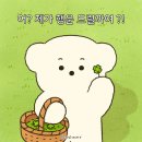 [2024 블챌7] 근육빼는 나의 일상