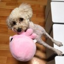 성산2동 주민센터 이미지