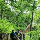 새울신협 이미지