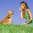 도담도담동물병원 이미지