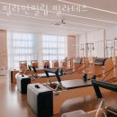 분당구 정자동 필라테스 필라인필립 필라테스 위치.가격.시간.후기