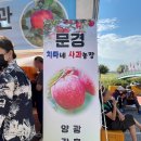 강경농장 이미지