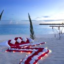 허니문(honeymoon)