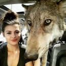 늑대PC방 이미지