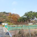 아름동_아름초등학교앞 이미지