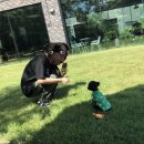 메르시도꾸 이미지