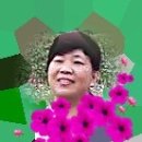 배섬