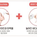디피엘 이미지