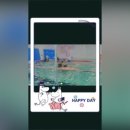 아쿠아마린 화정 이미지