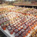 경향농장 이미지