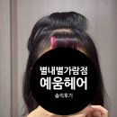 가람헤어아트 - 은평구 | 별내역 미용실 예움헤어 별내가람역 클로리실장님