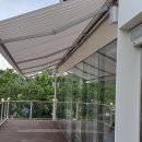 울산동물병원
