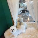 어라운드1142 이미지