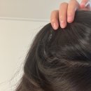 렉스헤어라인 | 단백질샴푸, 케라시스 오일렉스 사용후기 (향기가 최고임), 향좋은 샴푸, 단백질 트리트먼트