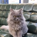 박경준비뇨기과의원 이미지