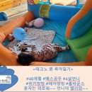 놀러와키즈방방