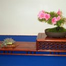 행복가든 이미지