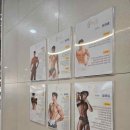 나이스짐 이미지