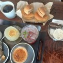 토다베이글 이미지