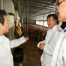 처인농장 이미지