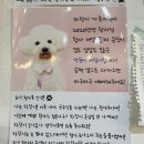 함께할개 사랑할개 이미지