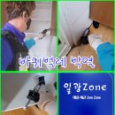 일광방역