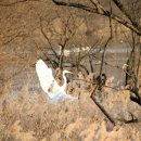 가월돈까스 이미지