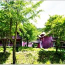 법수치계곡 펜션 꿈꾸는 숲 이미지