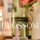 네일블라썸 이미지