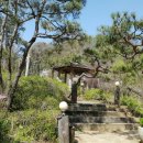 숲속의 둥지 이미지