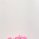 꽃애진심 이미지
