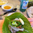 [김해 내외동 맛집] 산오징어회와 오징어통찜이 맛있는 ‘징어야징어야’ 내돈내산 후기