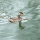 우주행정사 이미지