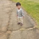 센트럴파크 5 | 일상] 인천 송도 아이랑 가볼만한곳 / 가족 나들이 센트럴파크 5인가족 보트 탑승 후기 보트 가격 시간