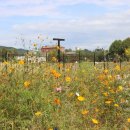 용산-현장-787 이미지