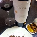 로타(LOTA) 이미지