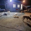 코앤덕농장 이미지