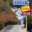 망양로 Daum카페