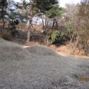 산소농장 네이버블로그