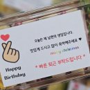 피그래빗