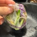 퐁당(둔산점) | [대전] 퐁당 둔산점 반반육수 가능한 샤브샤브 무한리필 둔산동 맛집 내돈내산 솔직후기