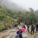 지리산 깊은골 이미지