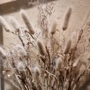 카페혜화동 이미지