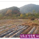 정경농장 이미지