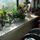 김선미헤어 이미지