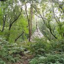 성내5교 이미지