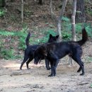 태산농장2 이미지