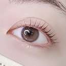 니어스 아이래쉬