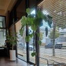 서들8길 이미지