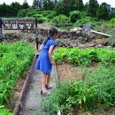 장전농장 이미지